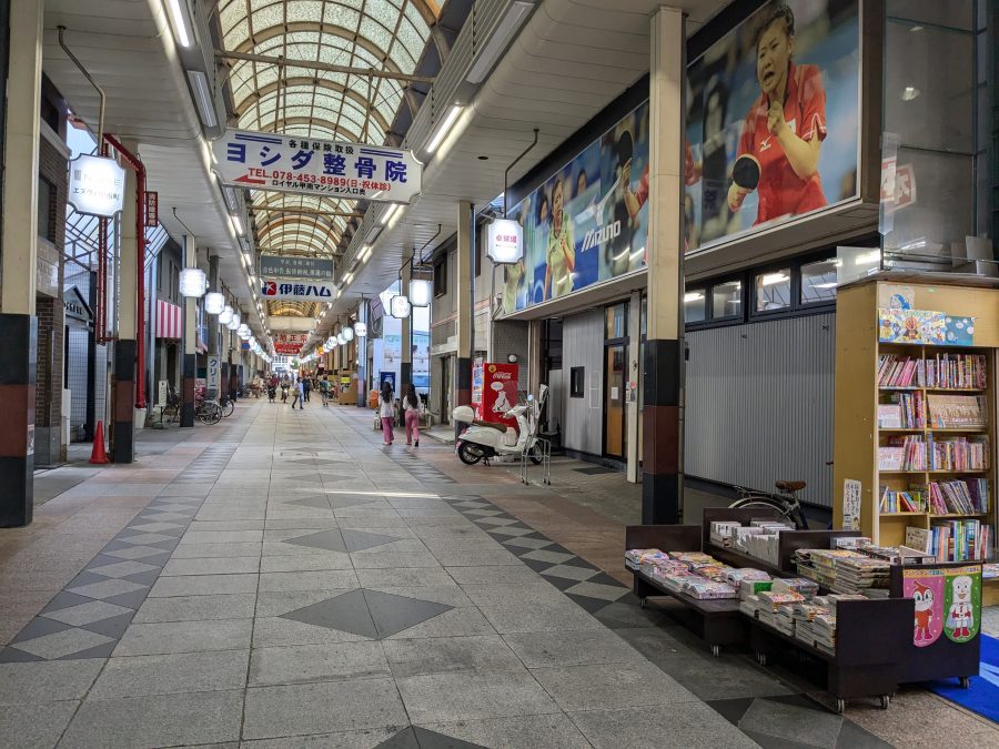 PXL_20240915_074224231