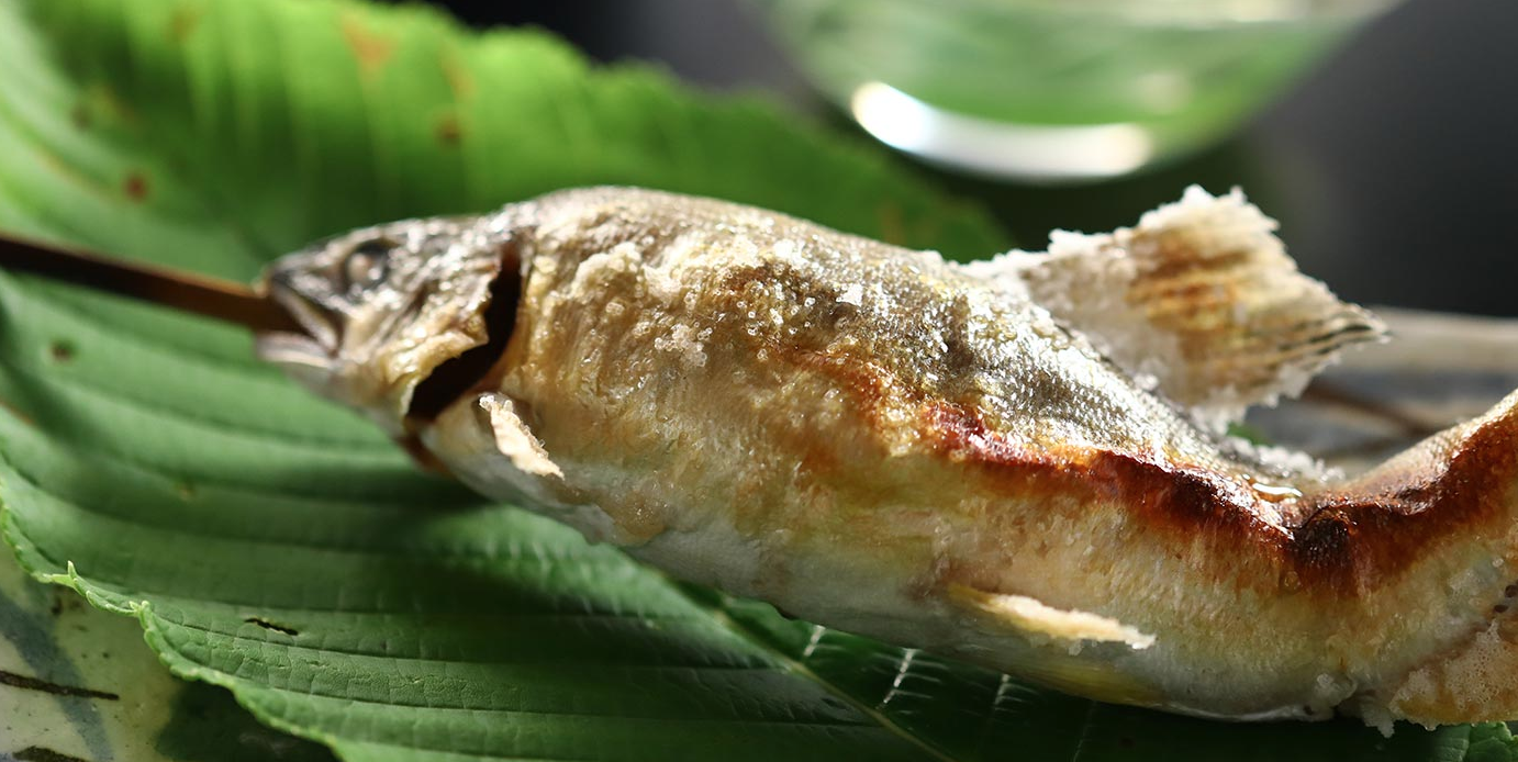 スクリーンショット 2019-12-20 午前11.50.39