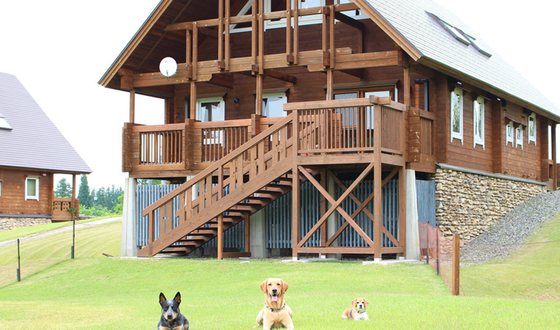 スクリーンショット 2019-11-20 16.05.09