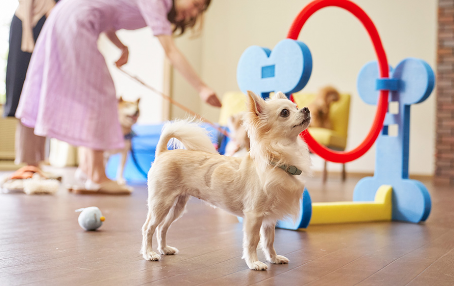 スクリーンショット 2020-02-19 20.04.47