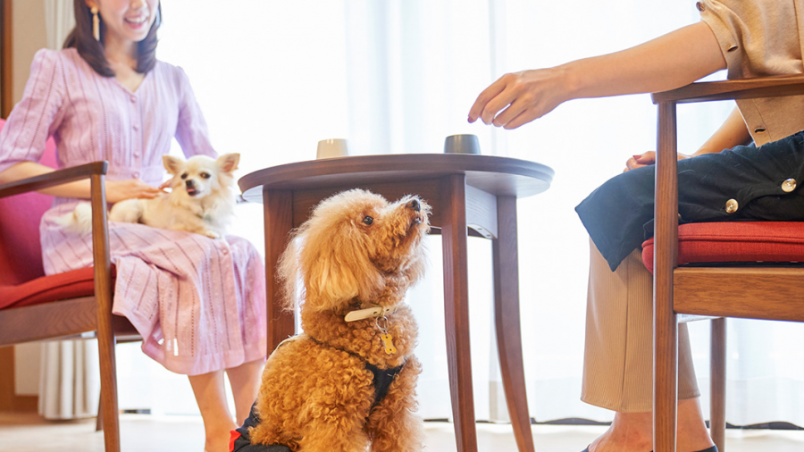 スクリーンショット 2020-02-19 20.02.02