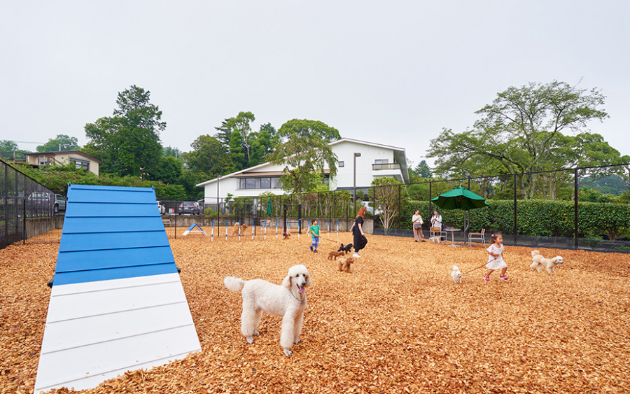 スクリーンショット 2020-02-19 20.04.40