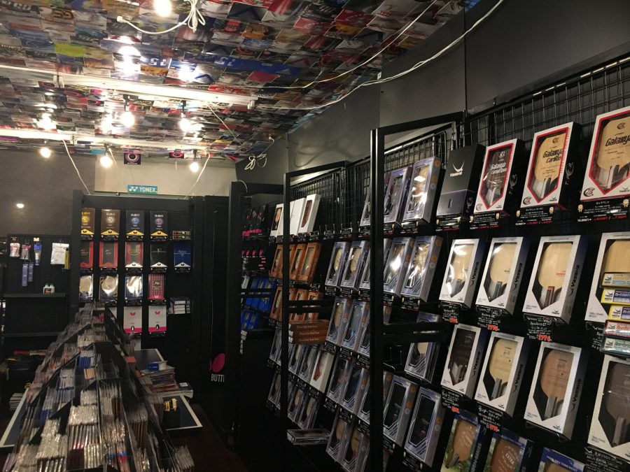 マイダス写真13