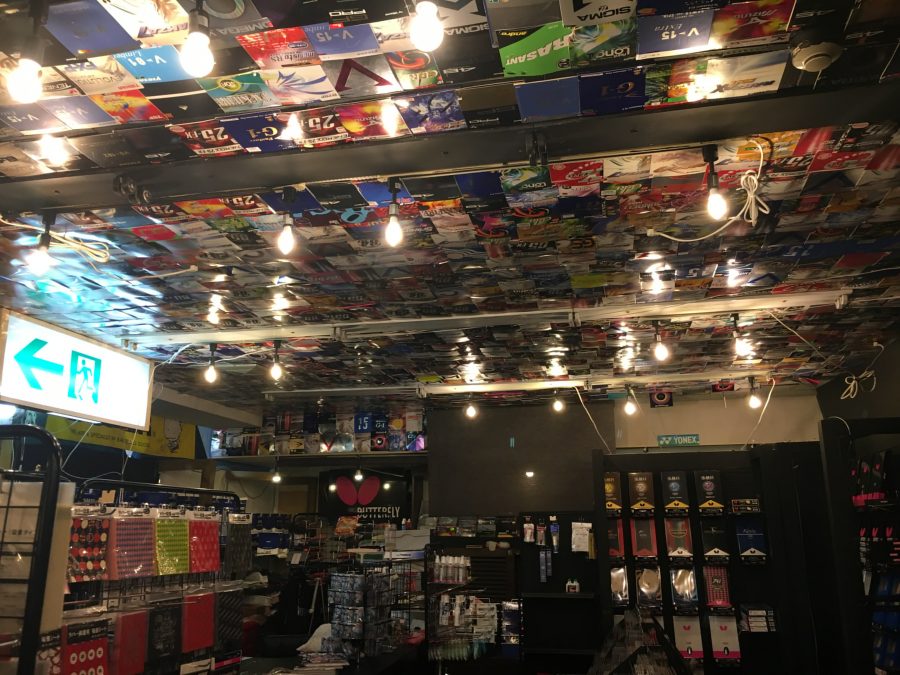 マイダス写真12