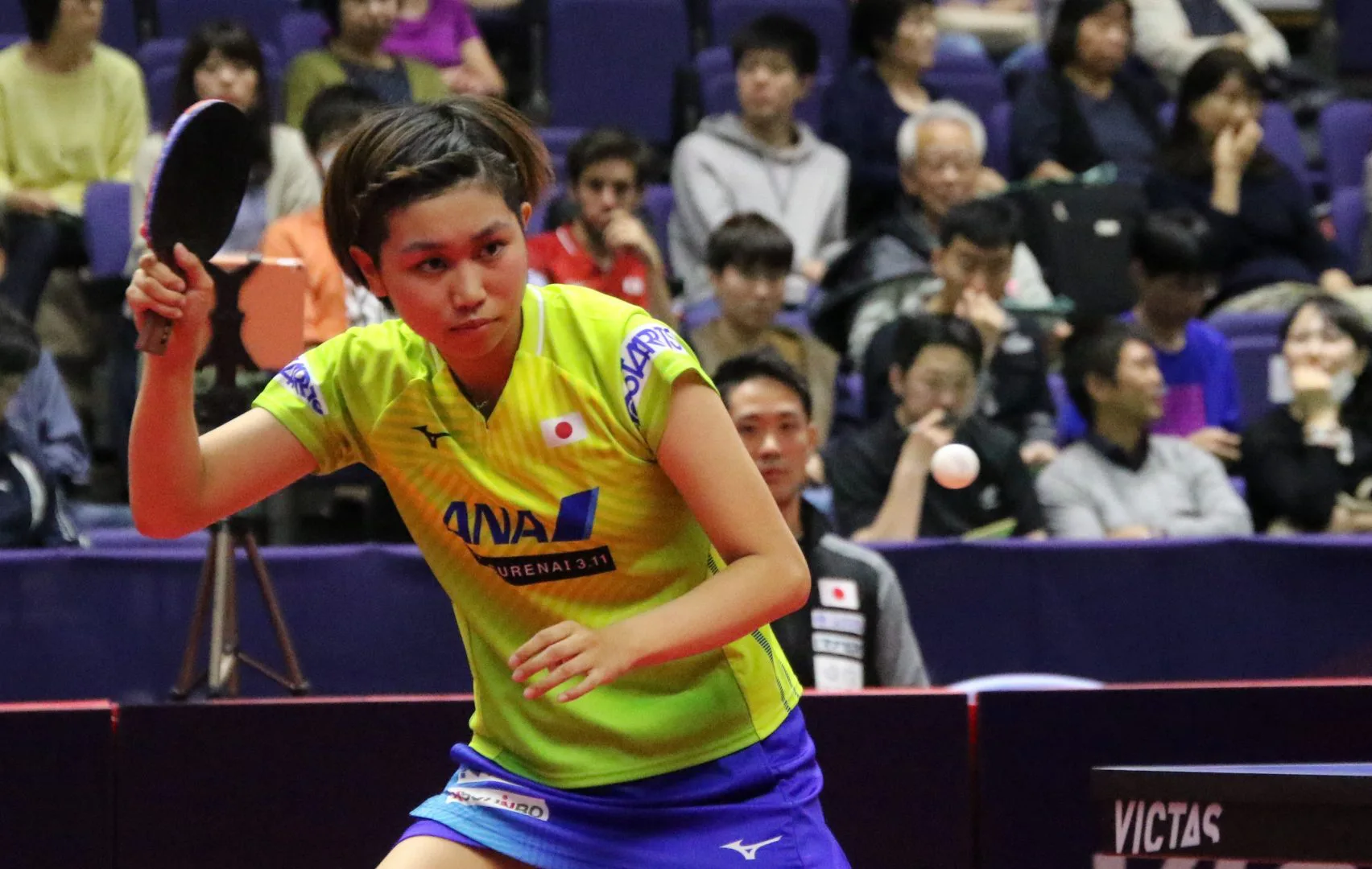 佐藤瞳vs平野美宇、注目の日本人対決　4日目シングルス見どころ＜ライオン卓球ジャパンOP荻村杯＞