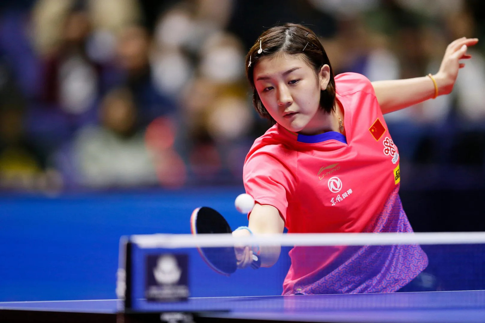 卓球 世界 ランキング 女子
