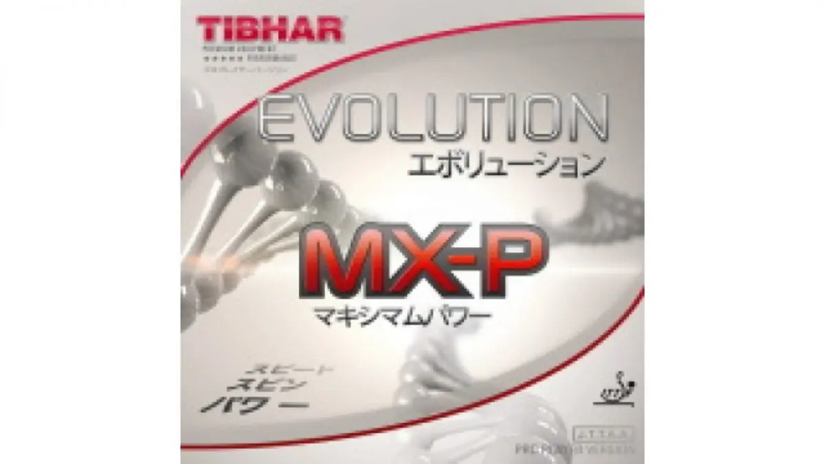 卓球】エボリューションMX-Pの性能/重さ寿命を徹底レビュー TIBHER