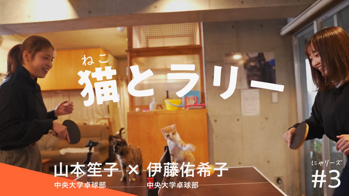 【画像】「猫はラリーするのか」卓球選手が検証してみた　山本笙子・伊藤佑希子編