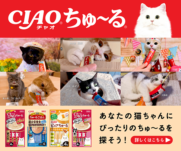 張本智和 始球式 シリアル 50枚限定 カード 張本智和、無念の初戦敗退 世界ランク34位に黒星＜卓球・WTT