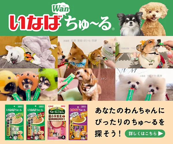 卓球　公立中学校\"800日\"の練習計画２〜三種の神器もペア別ダブルス指導〜 卓球 公立中学校