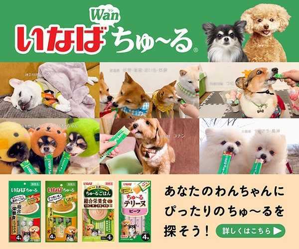 三重・白子が昨年王者の出雲北陵を撃破 静岡学園は専大北上に逆転勝利