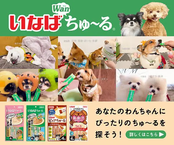 中国・林高遠、世界卓球銀メダリストに白星＜T2ダイヤモンド＞ | 卓球