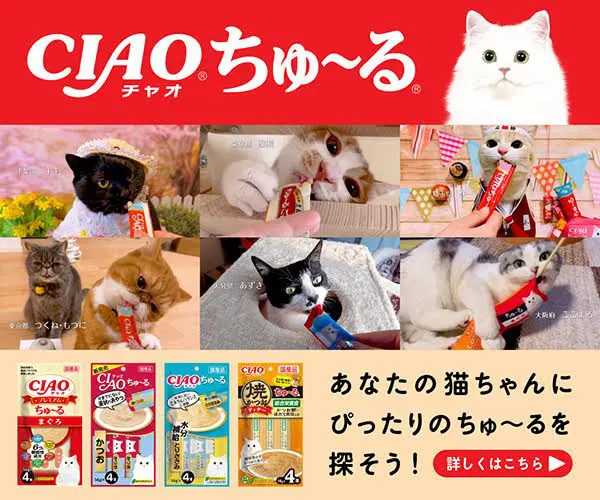 金メダルの可能性は20％」伊藤美誠との