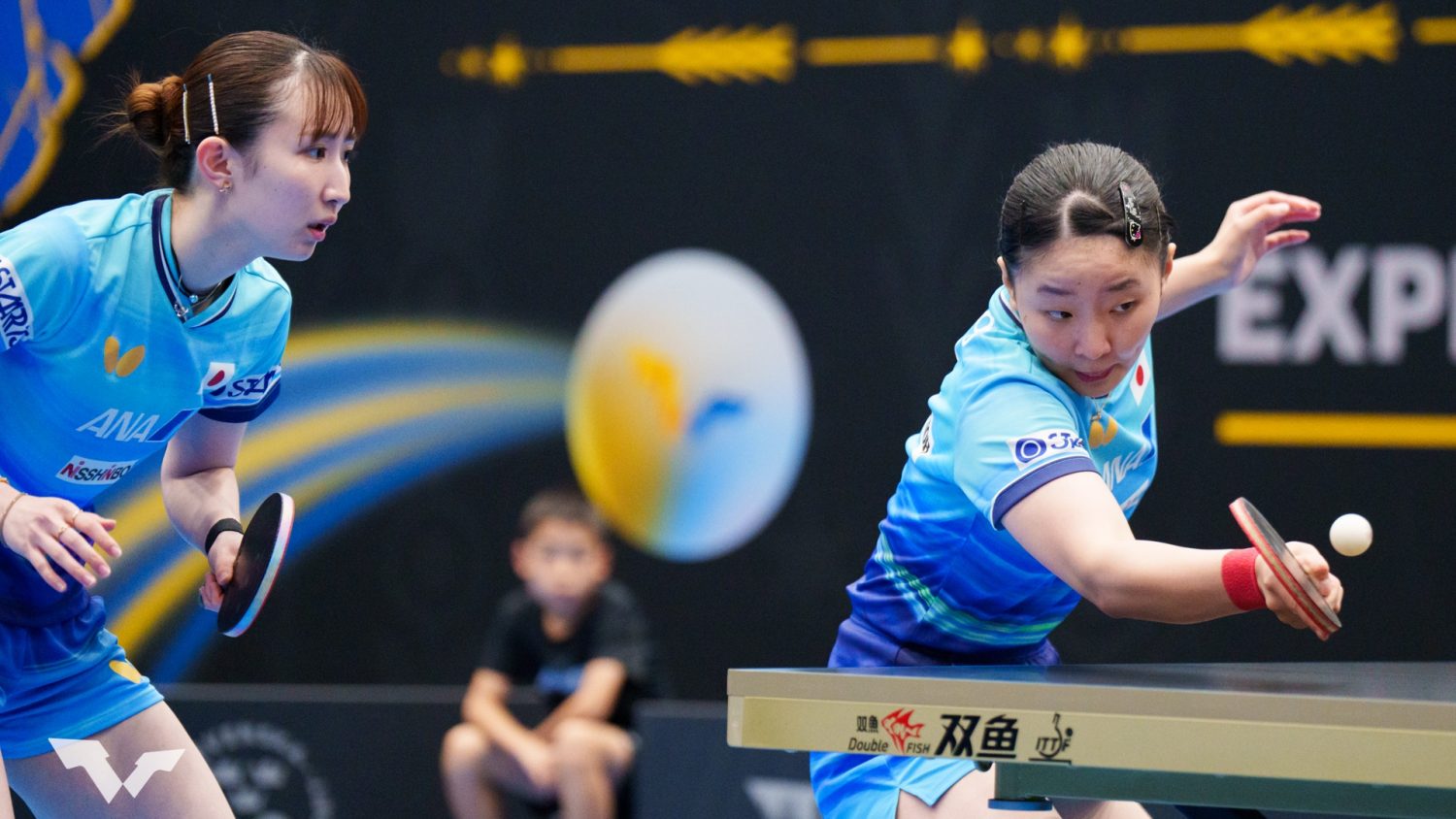 卓球 世界 ランキング 女子