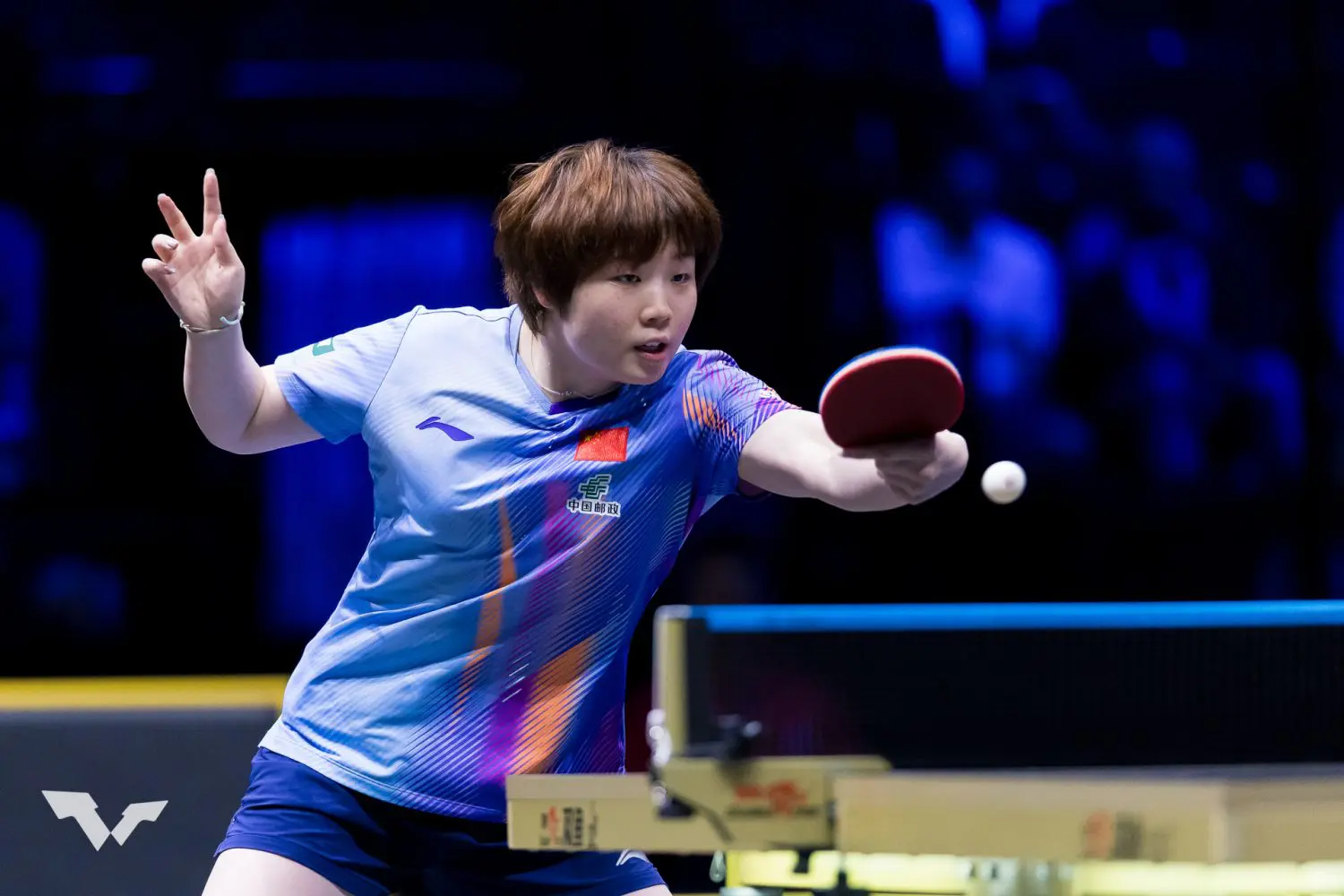 張本美和、松島輝空が第1シードに 女子は日本勢3名が固まる＜卓球・WTT